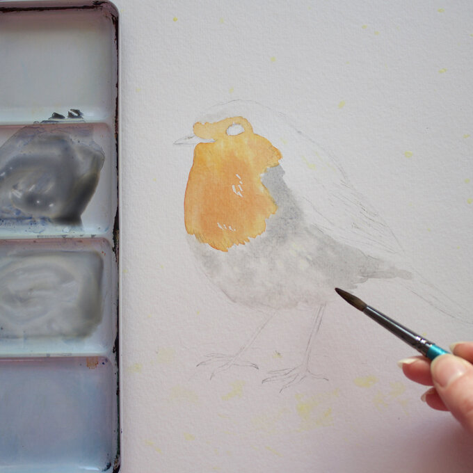 paint_a_watercolour_robin_painting_step_4.jpg?sw=680&q=85