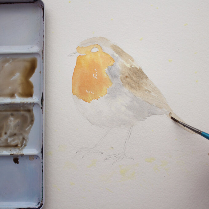 paint_a_watercolour_robin_painting_step_5.jpg?sw=680&q=85