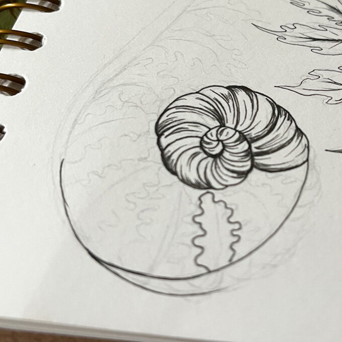 idea_how-to-draw-botanical-illustrations-fern2_step5b.jpg?sw=680&q=85