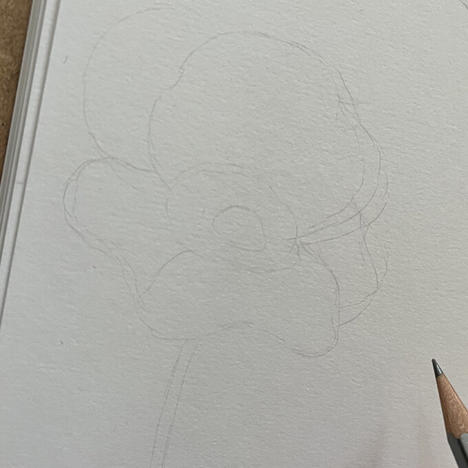 idea_how-to-draw-botanical-illustrations-poppy_step2a.jpg?sw=680&q=85