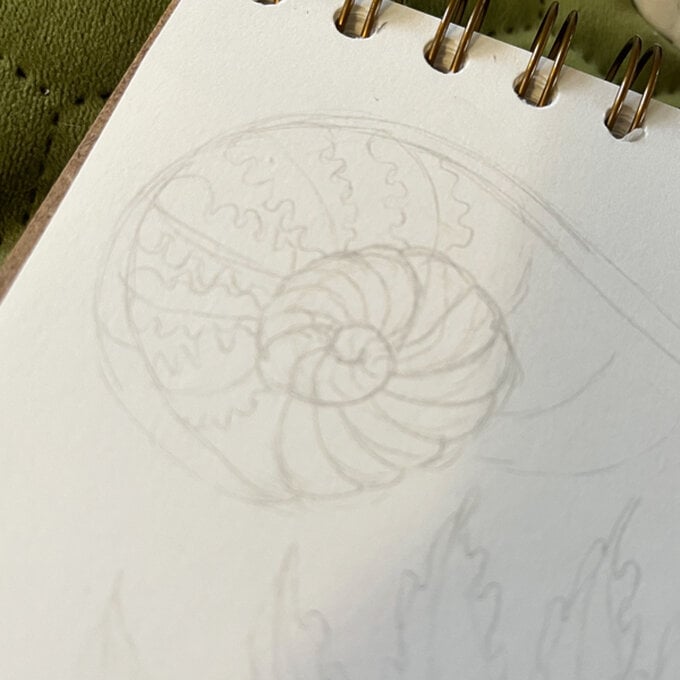 idea_how-to-draw-botanical-illustrations-fern2_step3b.jpg?sw=680&q=85