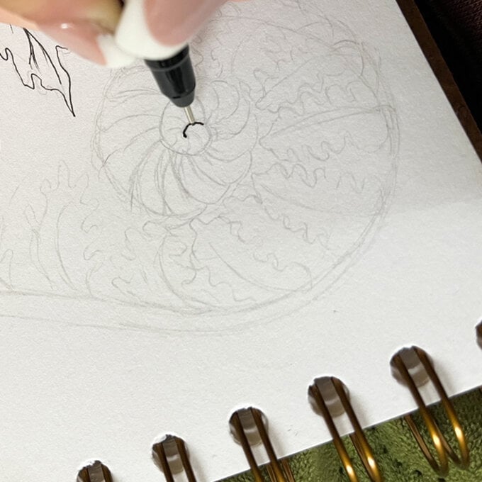 idea_how-to-draw-botanical-illustrations-fern2_step4a.jpg?sw=680&q=85