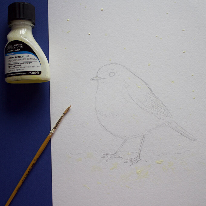 paint_a_watercolour_robin_painting_step_2.jpg?sw=680&q=85