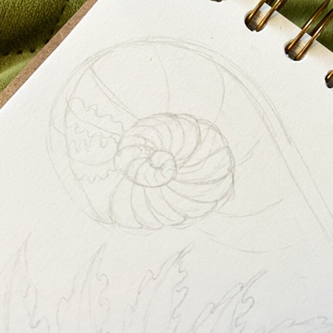 idea_how-to-draw-botanical-illustrations-fern2_step3a.jpg?sw=680&q=85