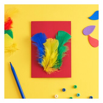 Fantasy Feathers 5g