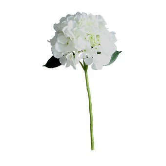 Cream Short Stem Hydrangea 40cm x 17cm