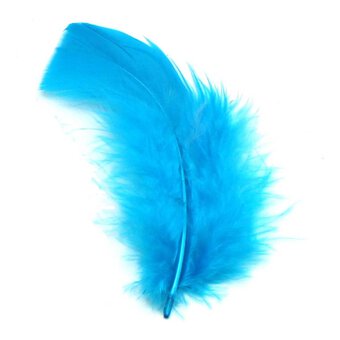 Turquoise Craft Feathers 5g