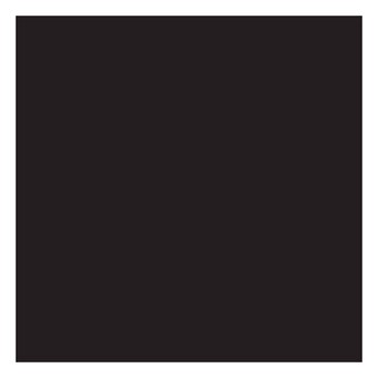 Cricut Infusible Ink Black Transfer Sheets 2 Pack