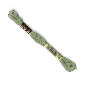DMC Green Mouline Special 25 Cotton Thread 8m (523)