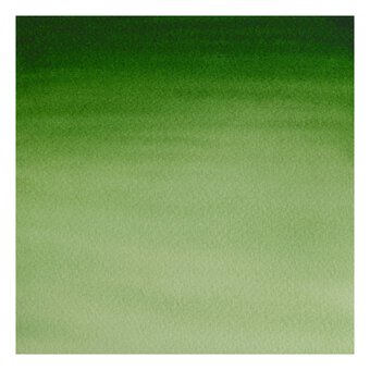 Winsor & Newton Hookers Green Light Cotman Watercolour Half Pan
